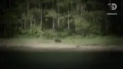 Discovery. Аляска: семья из леса 8 сезон 7 серия