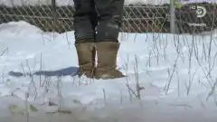 Discovery. Аляска: семья из леса 9 сезон 2 серия