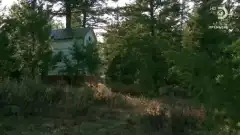 Discovery. Аляска: семья из леса 13 сезон 1 серия