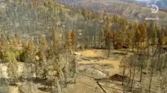 Discovery. Аляска: семья из леса 13 сезон 2 серия