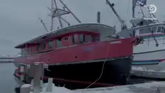 Discovery. Аляска: семья из леса 13 сезон 5 серия