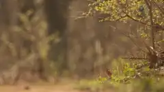 Discovery. Голые и напуганные XL 4 сезон 13 серия