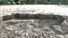 Взрывая историю 3 сезон 14 серия