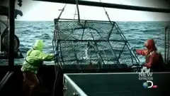 Discovery. Смертельный улов 7 сезон 2 серия