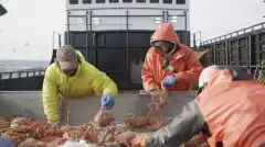 Discovery. Смертельный улов 19 сезон 8 серия