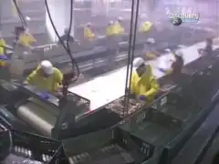 Discovery. Смертельный улов 1 сезон 8 серия