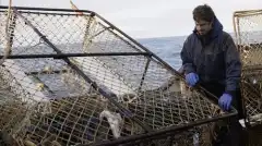 Discovery. Смертельный улов 17 сезон 8 серия