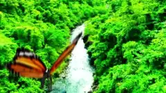 Discovery: Сквозь пространство и время с Морганом Фрименом 2 сезон 1 серия