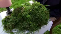 Discovery: Сквозь пространство и время с Морганом Фрименом 3 сезон 1 серия