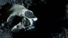 Discovery: Сквозь пространство и время с Морганом Фрименом 8 сезон 2 серия