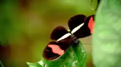 Discovery: Сквозь пространство и время с Морганом Фрименом 3 сезон 2 серия