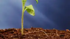 Discovery: Сквозь пространство и время с Морганом Фрименом 4 сезон 4 серия