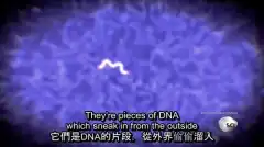 Discovery: Сквозь пространство и время с Морганом Фрименом 6 сезон 5 серия