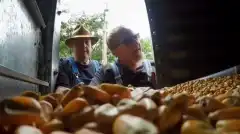 Discovery. Самогонщики 10 сезон 1 серия