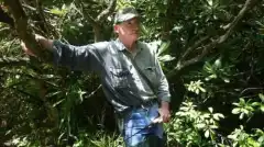 Discovery. Самогонщики 3 сезон 1 серия