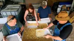 Discovery. Самогонщики 14 сезон 3 серия