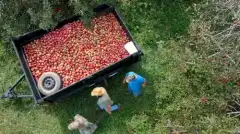 Discovery. Самогонщики 10 сезон 8 серия