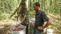 Discovery. Самогонщики 14 сезон 10 серия