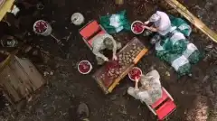 Discovery. Самогонщики 10 сезон 12 серия