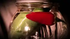 Discovery. Самогонщики 5 сезон 13 серия