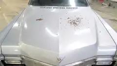 Discovery. Быстрые и громкие 4 сезон 5 серия