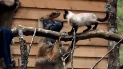 Discovery. Аляска: семья из леса 4 сезон 9 серия