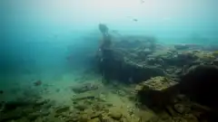 Взрывая историю 5 сезон 5 серия