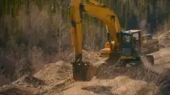 Discovery. Золотая лихорадка 14 сезон 2 серия