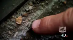 Discovery. Золотая лихорадка 2 сезон 7 серия