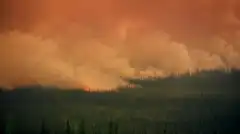 Discovery. Золотая лихорадка 10 сезон 7 серия