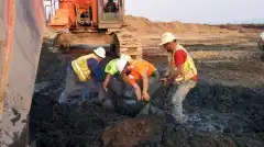 Discovery. Золотая лихорадка 6 сезон 8 серия