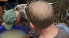 Discovery. Самогонщики 12 сезон 12 серия