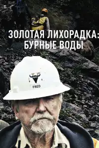 Золотая лихорадка 